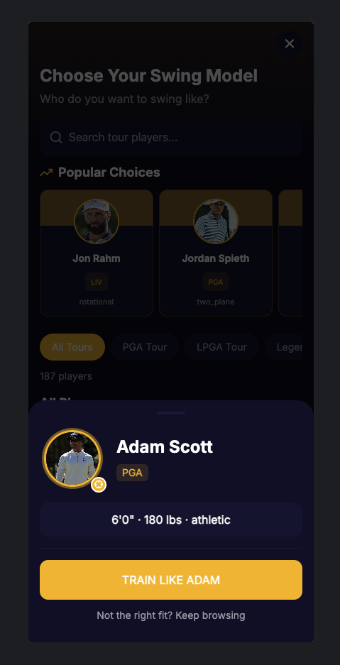 SwingMatch.AI tour player detail screen